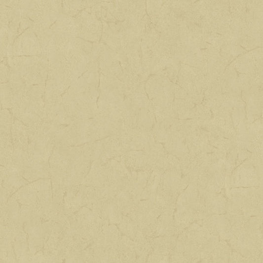 Cristiana Masi METAMORPHOSIS Tapeta tynk beton 6615